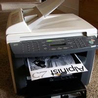 Can Printers Print to the Edge of Paper? And Why Do Cats Always Sit on Important Documents?